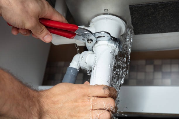 Best Carpet water damage restoration  in Manson, IA