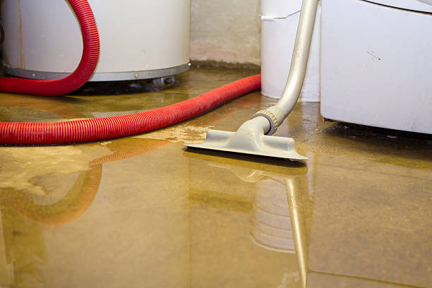 Best Commercial water damage restoration  in Manson, IA