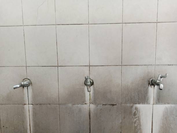 Best Flood damage cleanup  in Manson, IA