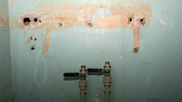 Best Professional water damage repair  in Manson, IA