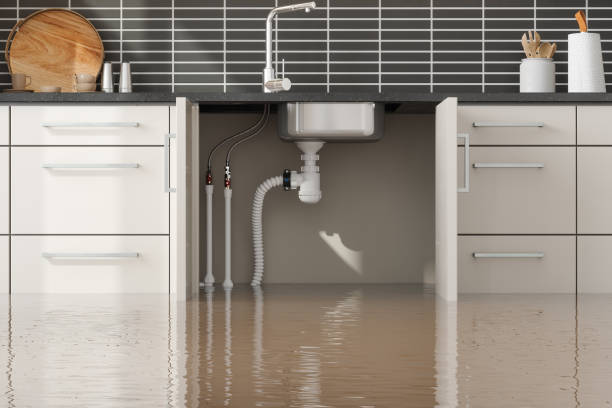 Best Basement water damage restoration  in Manson, IA