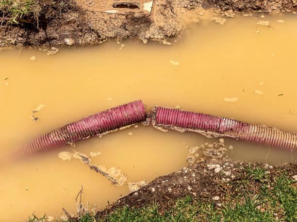 Trusted IA Water damage restoration Experts