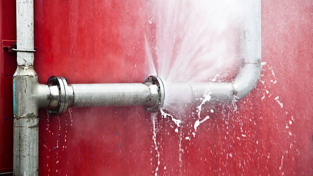Best Basement water damage restoration  in Manson, IA